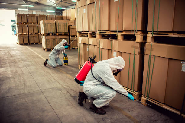 Best Rat Extermination Near Me  in Seagoville, TX