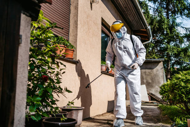 Pest Control for Restaurants in Seagoville, TX