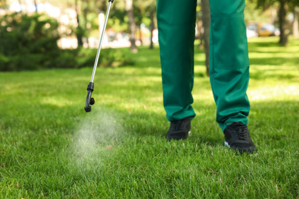 Best Residential Pest Control  in Seagoville, TX