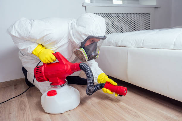 Best Emergency Pest Control  in Seagoville, TX