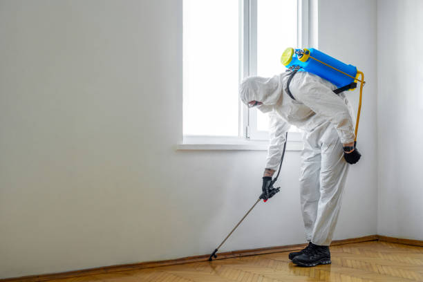 Best Flea Control Services  in Seagoville, TX