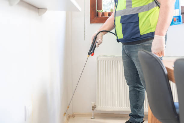 Best Bed Bug Extermination  in Seagoville, TX