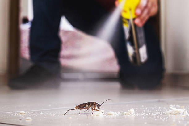 Trusted Seagoville, TX Pest Control Experts